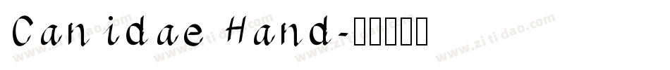 Canidae Hand字体转换